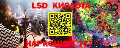 дмт Краснодар