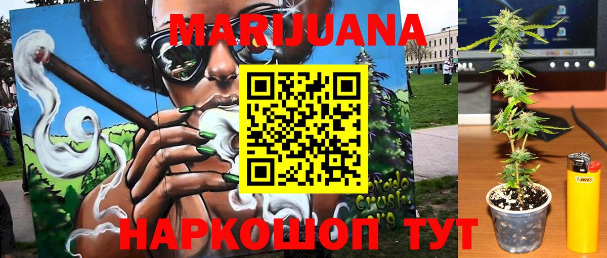Камышлов  Марихуана планчик  Бошки марихуана ГИДРОПОН  Марихуана SATIVA & INDICA  Вход с VPN 